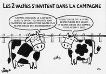  les2Vaches_001.jpg