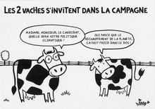  les2Vaches_002.jpg