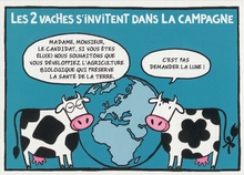  les2Vaches_005.jpg