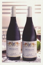  morgon_benoitLafont_001.jpg