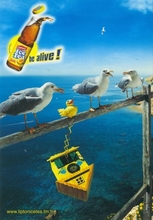  iceTea_001.jpg