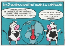  les2Vaches_004.jpg