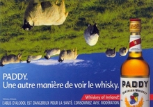  paddy_001.jpg